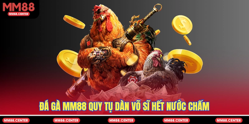 Đá Gà MM88 quy tụ dàn võ sĩ hết nước chấm